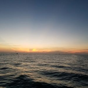 Meet your Posher, Richard